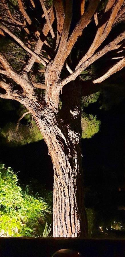 Villarama Saint Tropez Bagian luar foto